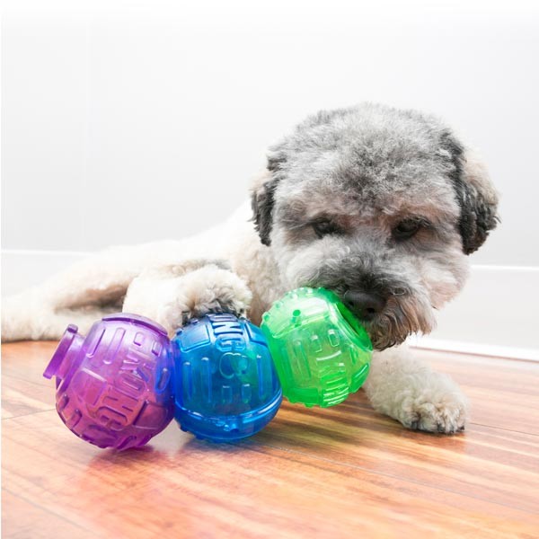 KONG Lock-It 2 Pack Large Dog Toy