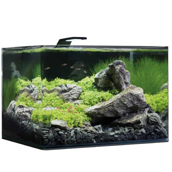 Dennerle Scapers Tank 55 Litres