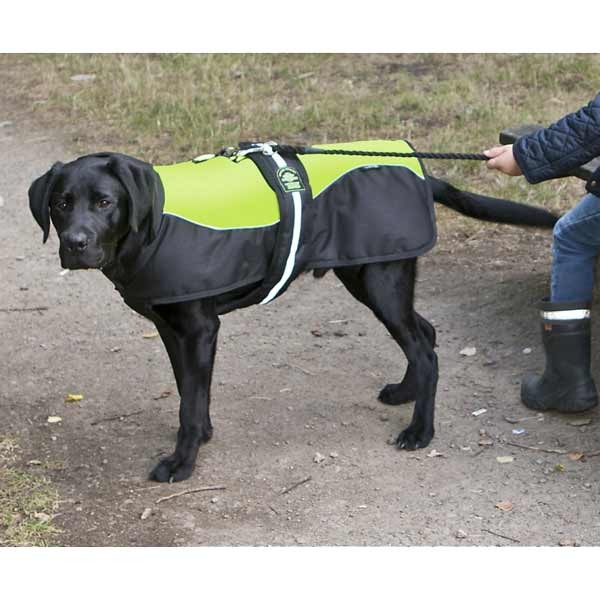 aniMate Reflective Hi-Viz Padded Dog Harness Coat 8"