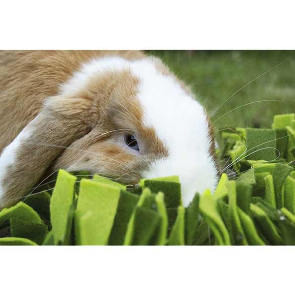 Rosewood Snuffle Forage Mat For Small Animals