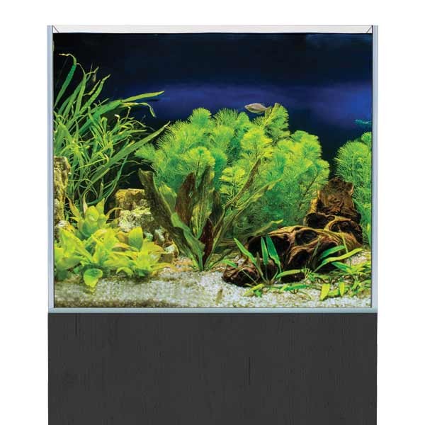 AquaSys 150 Black Ash Aquarium & Cabinet