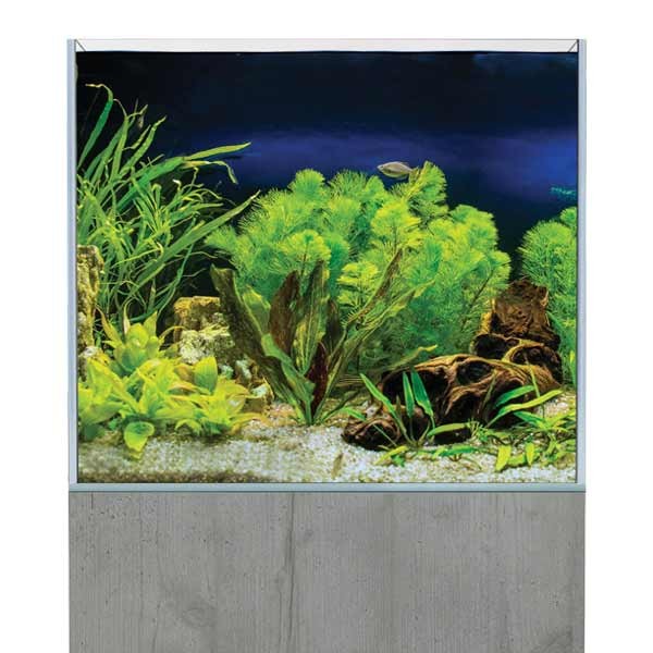 AquaSys 150 Boston Concrete Aquarium & Cabinet