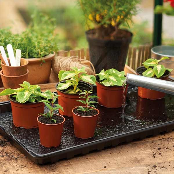 Grow-Sure Watering Tray 2 Pack