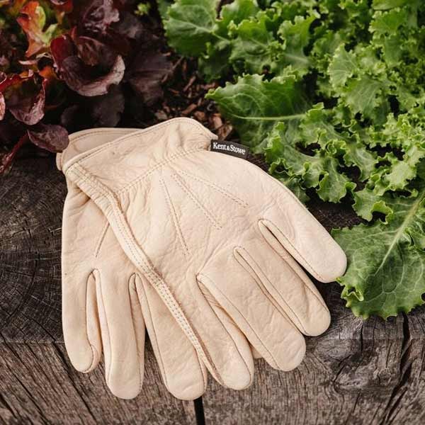 Kent & Stowe Luxury Leather Water Resista nt Gloves - Ladies Small