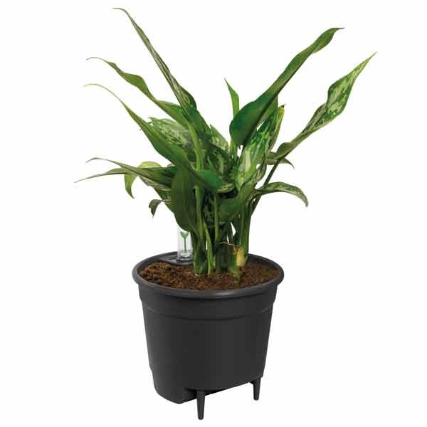 Elho Self-Watering Insert Living Black 17cm