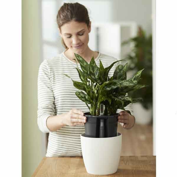 Elho Self-Watering Insert Living Black 21cm