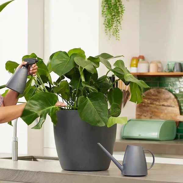 Elho Brussels Watering Can 1.8 Litres Anthracite