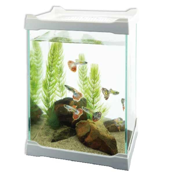 Ista Multi-Function White 16x16x21cm Pet Tank