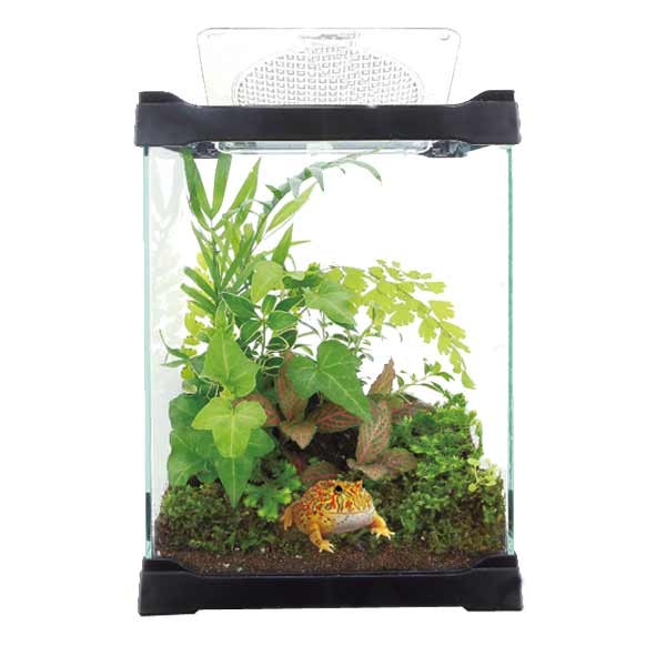 Ista Multi-Function Black 16x16x21cm Pet Tank