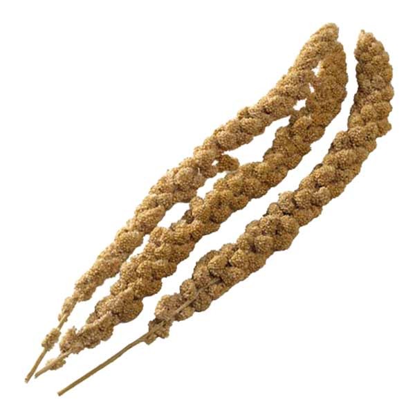 Bucktons Millet Sprays Pre-Pack 500g