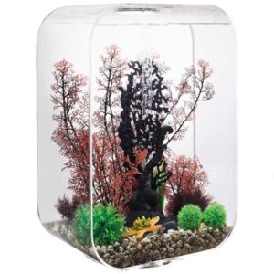 biOrb Life 60 Litre LED Transparent Aquarium