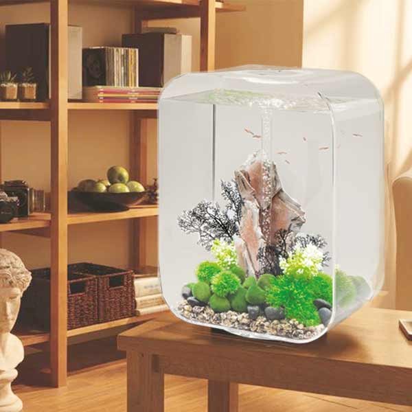 biOrb Life 60 Litre LED Transparent Aquarium