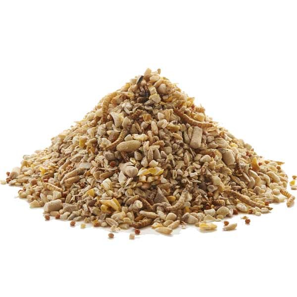 Peckish Robin Seed & Insect Mix 1Kg