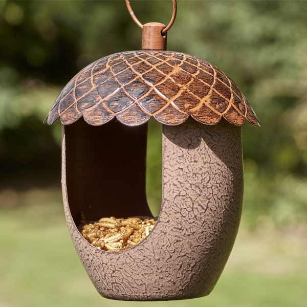 Peckish Acorn Treat Feeder