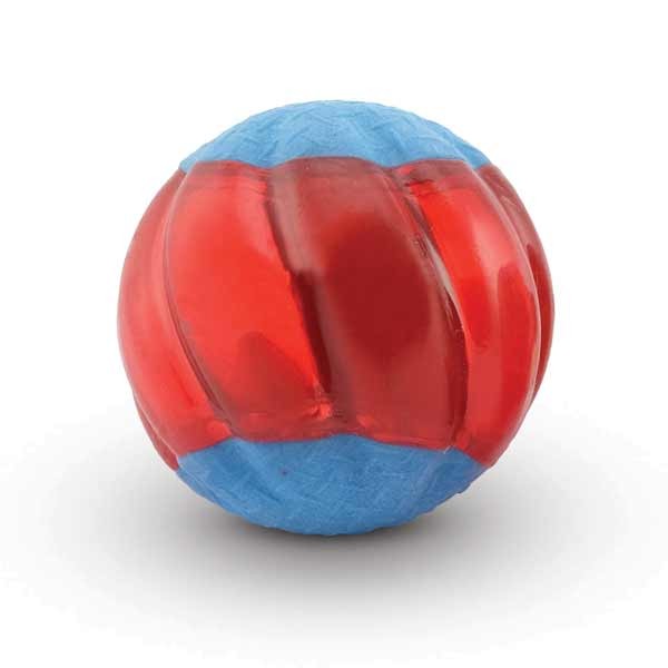 Zeus Duo Ball 5cm with Squeaker 2Pk