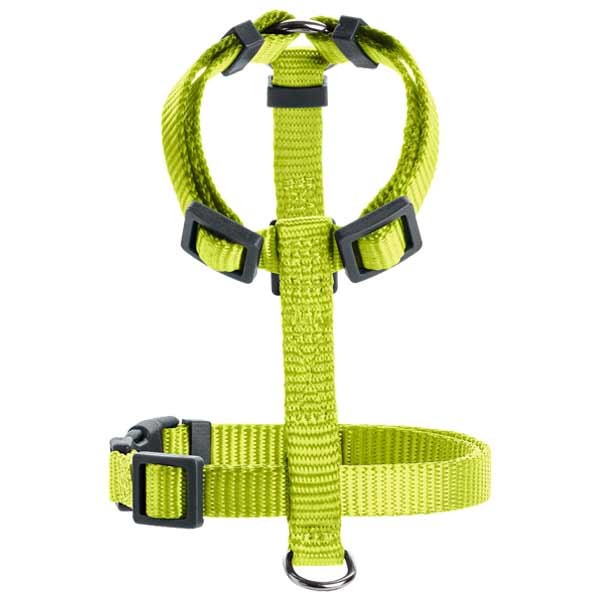 Hunter London Vario Rapid Harness 22 - 36 Lime