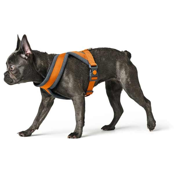 Hunter London Comfort Harness 57 - 70cm (M) Orange