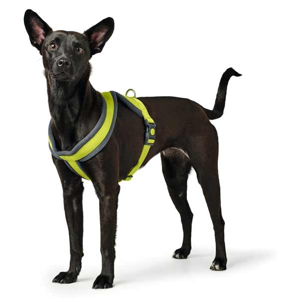 Hunter London Comfort Harness 48 - 56cm (S-M) Lime