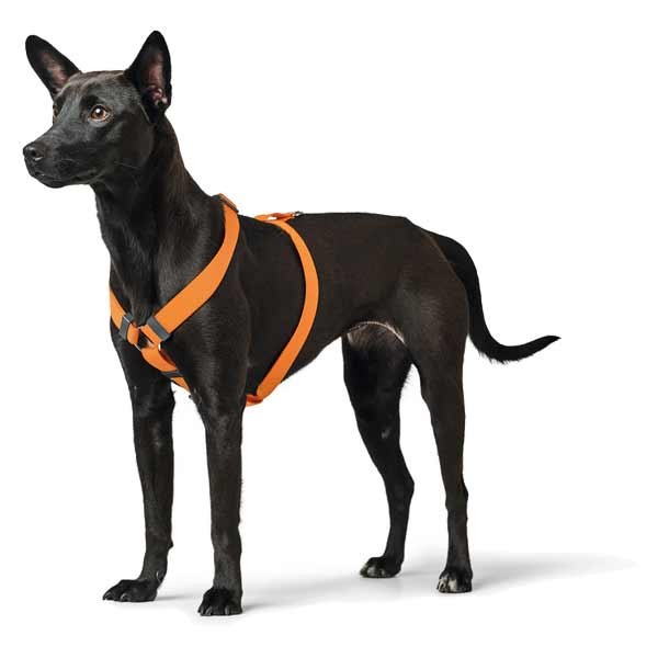 Hunter London Vario Rapid Harness 58 - 101 Orange