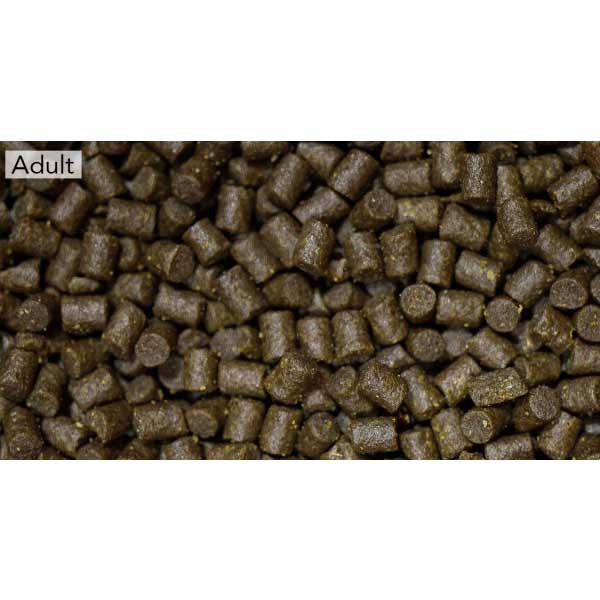 NT Pro-F Axolotl Adult Pellet 165g