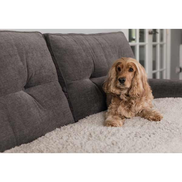 Pet Rebellion Comfy Cover Stone