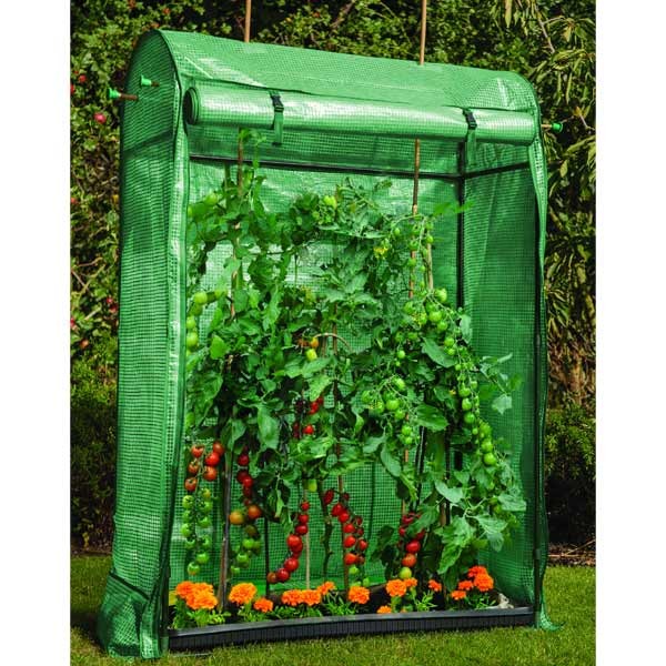 Grow it Premium Tomato Growhouse