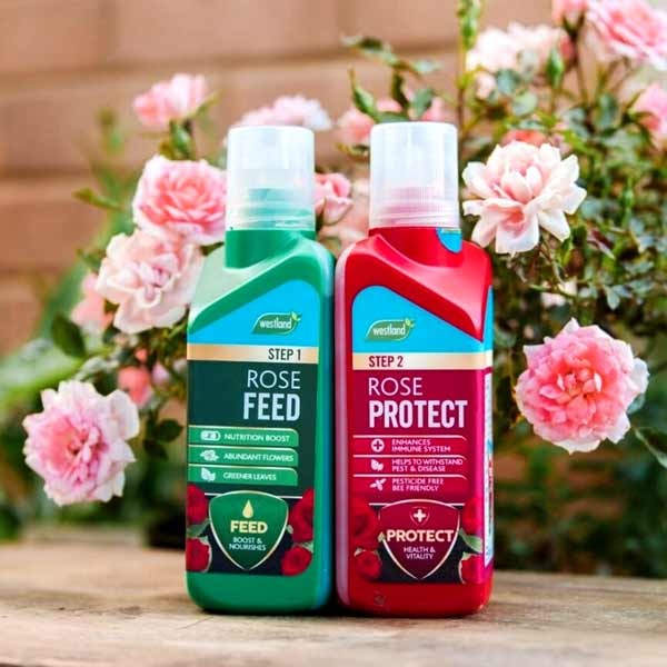 Westland Rose Feed & Protect 2x500ml