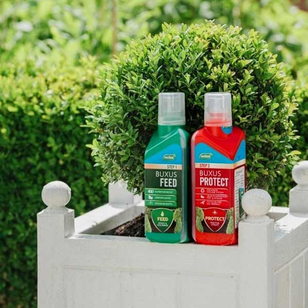 Westland Buxus Feed & Protect 2x500ml