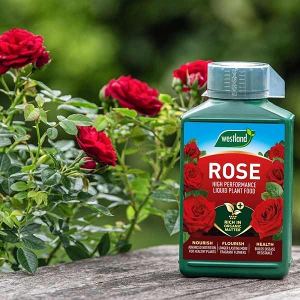 Westland Rose High Performance Liquid Plant Food 1 Litre