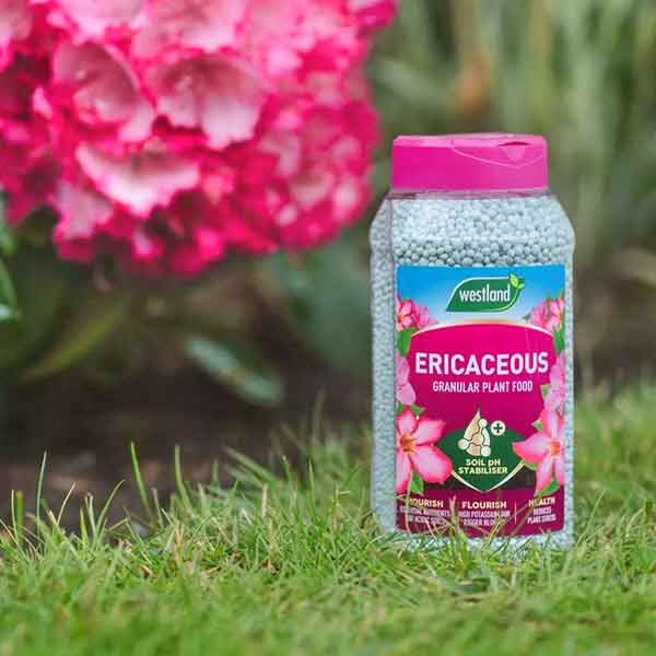 Westland Ericaceous Specialist Plant Food Granules 900g