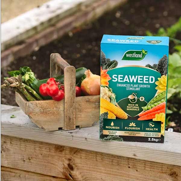 Westland Seaweed Enhanced Plant Growth Stimulant 2.5kg