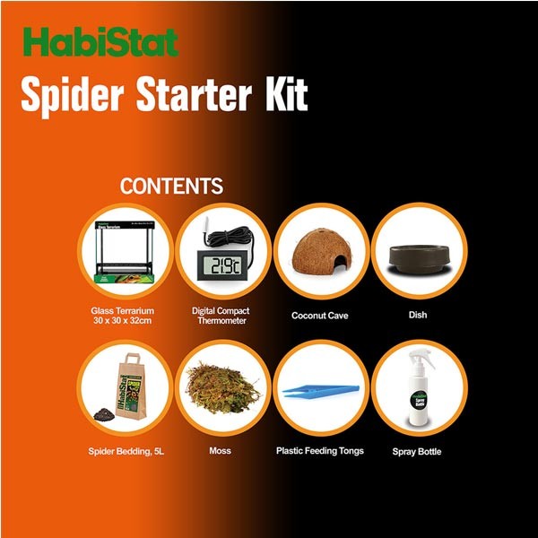 HabiStat Spider Starter Kit