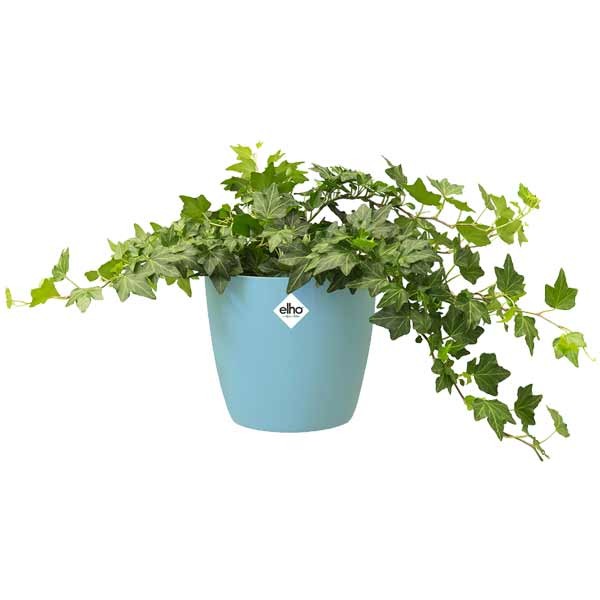 Elho Brussels Round Mint 14cm Flower Pot