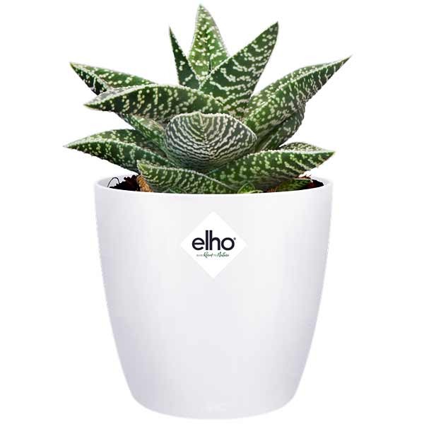 Elho Brussels Round White Mini 7cm Flower Pot