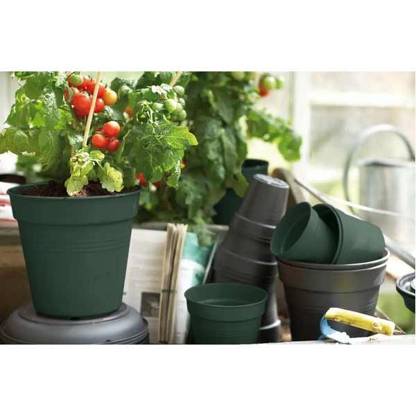 Elho Green Basics Growpot Leaf Green 11cm