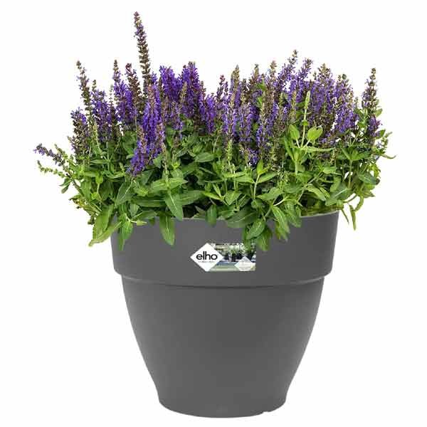 Elho Vibia Campana Round Anthracite 30cm Flower Pot