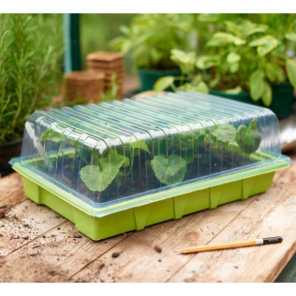 Grow it Standard Seed Tray Lid Single