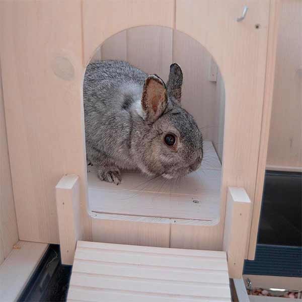 Ferplast Cottage Mini Indoor Rabbit Hutch