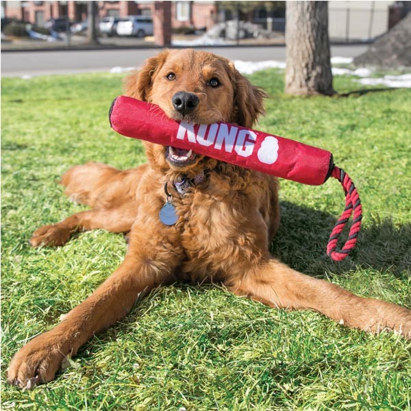 KONG Signature Stick w/Rope Medium Dog Toy