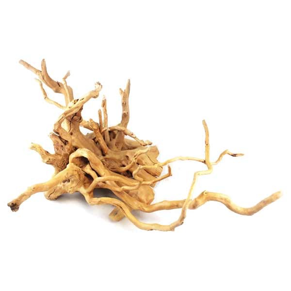 Aqua One Azalea Root approx. 60 - 75 cm pieces