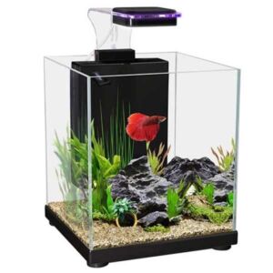 Aqua One Betta Sanctuary Aquarium Black 10 Litres