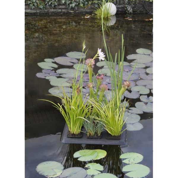 Velda Floating Plant Oasis 30x40cm