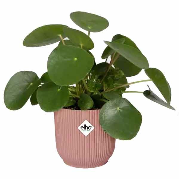 Elho Vibes Fold Round Delicate Pink 14cm Flower Pot