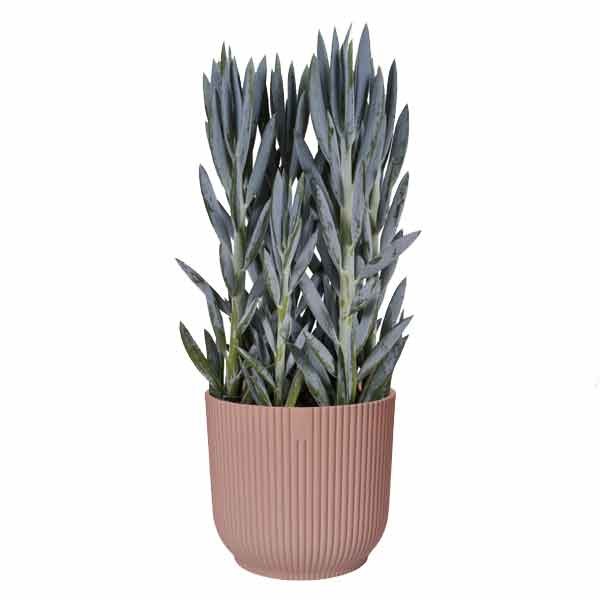 Elho Vibes Fold Round Delicate Pink 14cm Flower Pot