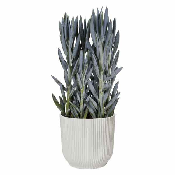 Elho Vibes Fold Round Silky White 14cm Flower Pot