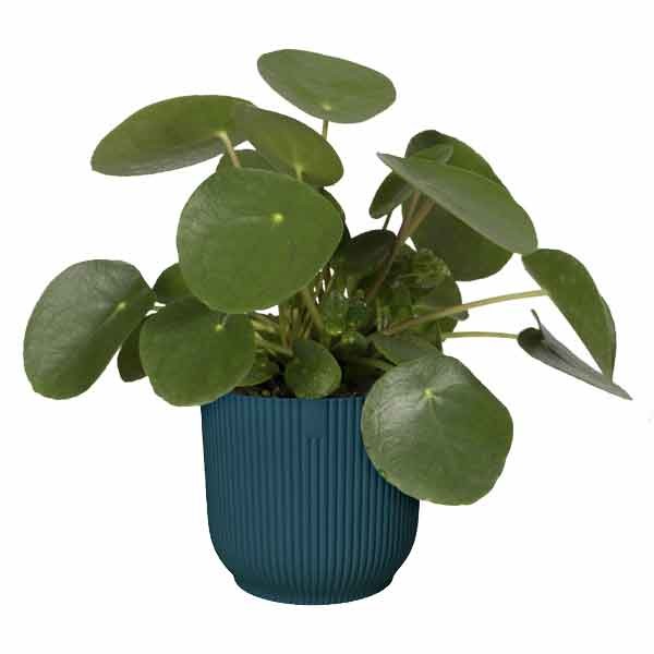 Elho Vibes Fold Round Deep Blue 14cm Flower Pot