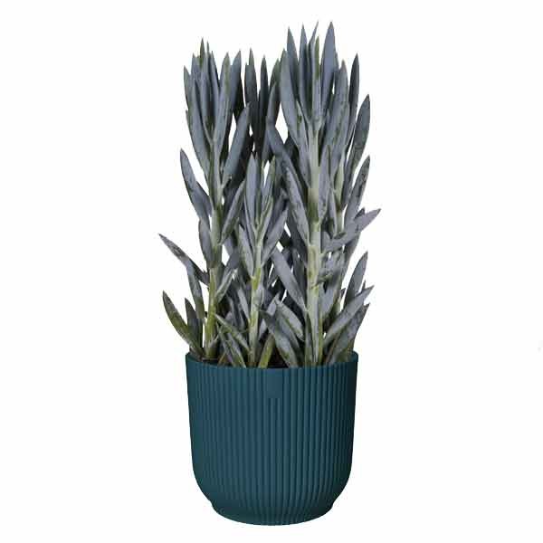 Elho Vibes Fold Round Deep Blue 14cm Flower Pot