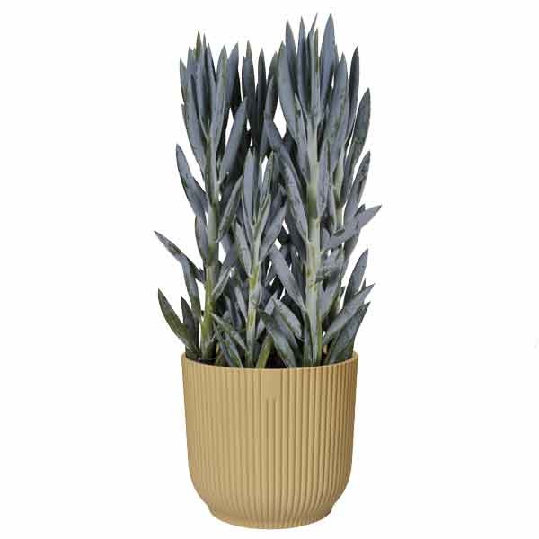 Elho Vibes Fold Round Butter Yellow 14cm Flower Pot