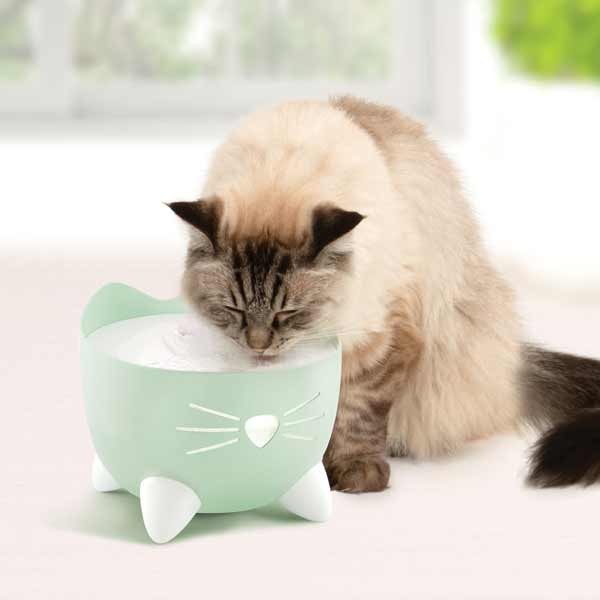 Catit Pixi Fountain Mint Green