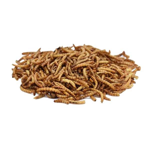 Peckish Mealworm 175g